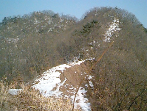 대금산