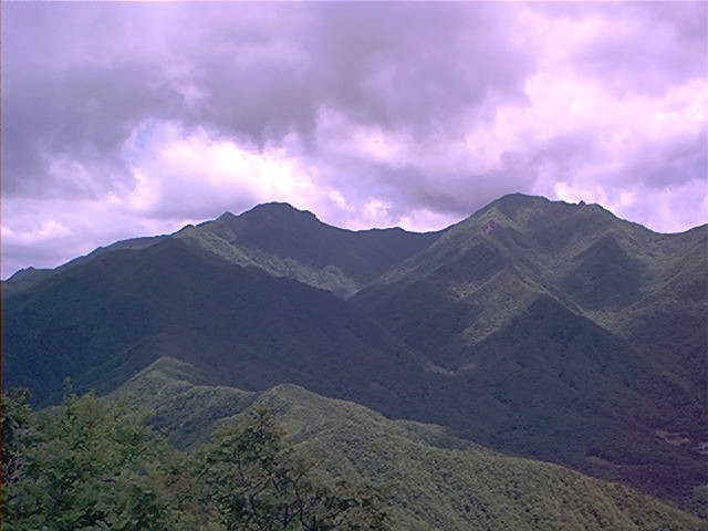 ʷްԼ