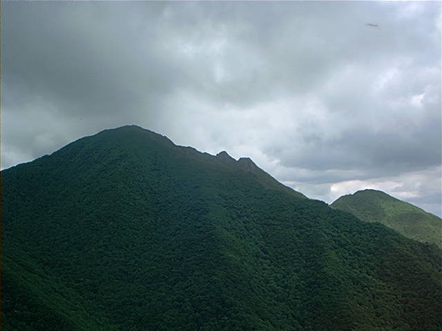 ʷްԼ