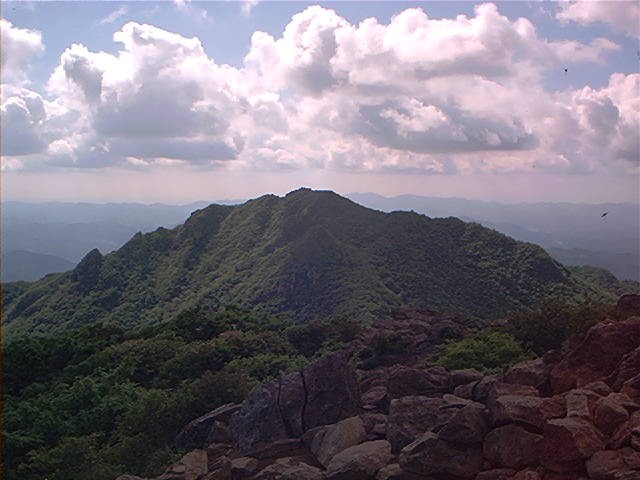 ʷްԼ